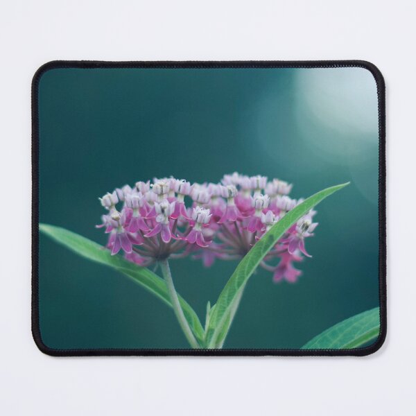 Item preview, Milkweed Blossoms, Just the Two of Us designed and sold by DenaHaines.