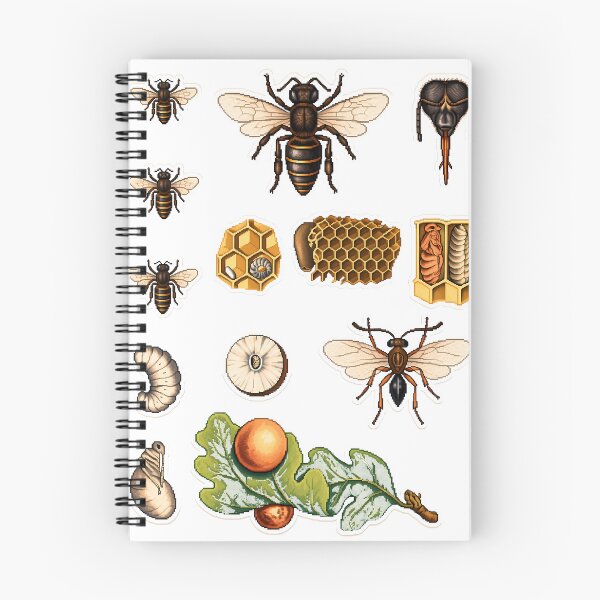 Item preview, Pixel Art 1860 Honeybee Oak Gall Wasp Plate designed and sold by aigcx.