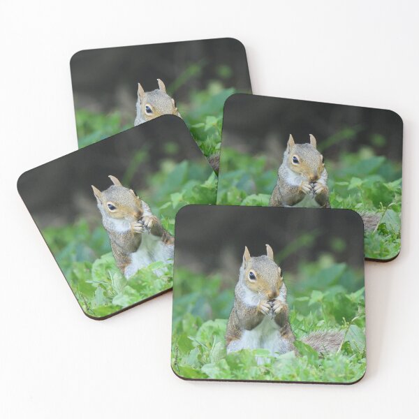 Item preview, Squirrel Eating a Sunflower Seed designed and sold by Frankie Cat Photography.