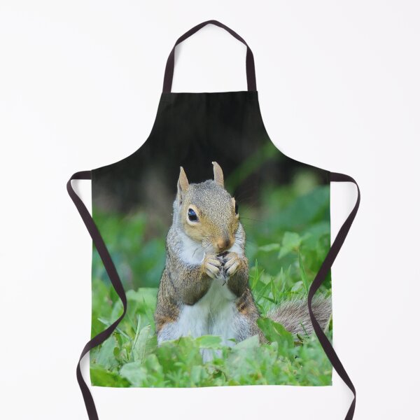 Item preview, Squirrel Eating a Sunflower Seed designed and sold by Frankie Cat Photography.