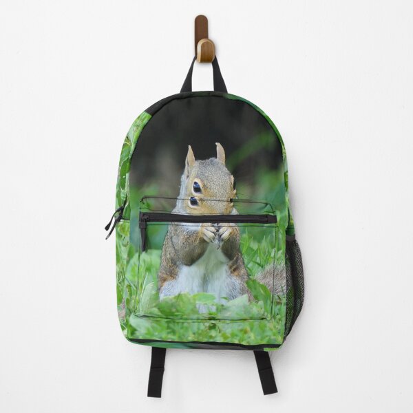 Item preview, Squirrel Eating a Sunflower Seed designed and sold by Frankie Cat Photography.