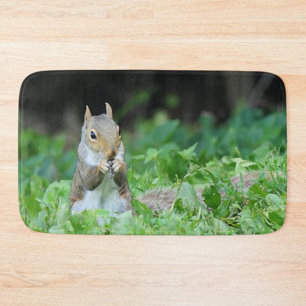 Item preview, Squirrel Eating a Sunflower Seed designed and sold by Frankie Cat Photography.