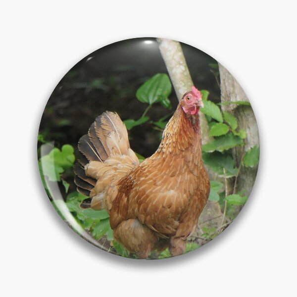 Item preview, Henrietta the Hen designed and sold by Frankie Cat Photography.