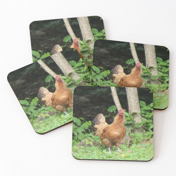 Item preview, Henrietta the Hen designed and sold by Frankie Cat Photography.