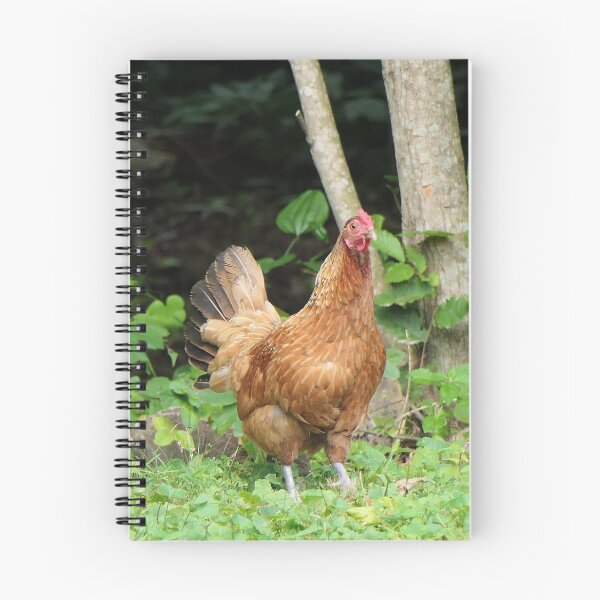 Item preview, Henrietta the Hen designed and sold by Frankie Cat Photography.