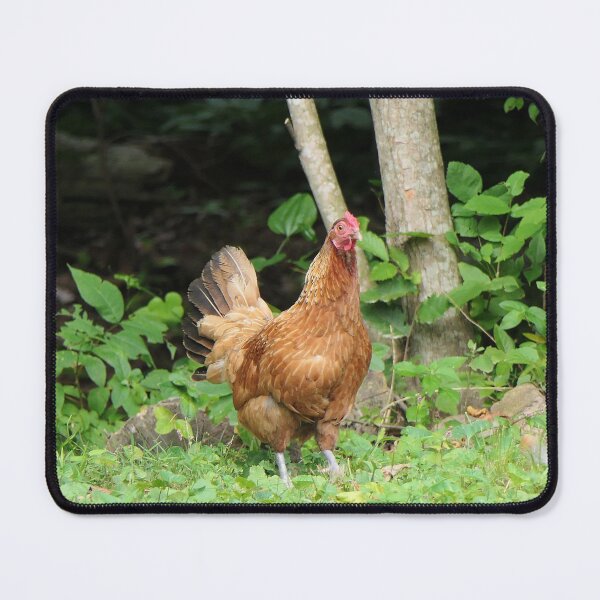 Item preview, Henrietta the Hen designed and sold by Frankie Cat Photography.