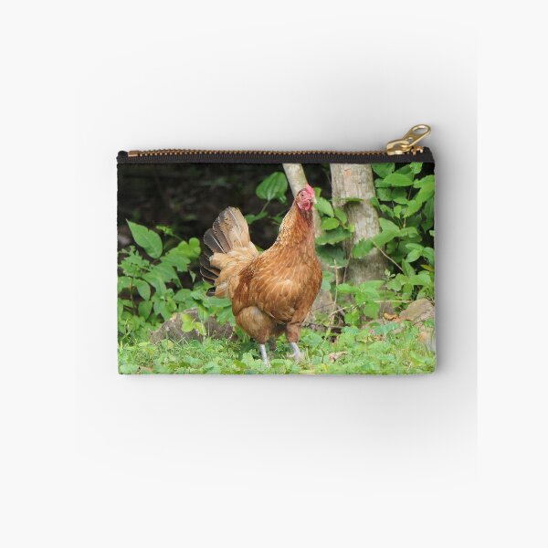 Item preview, Henrietta the Hen designed and sold by Frankie Cat Photography.