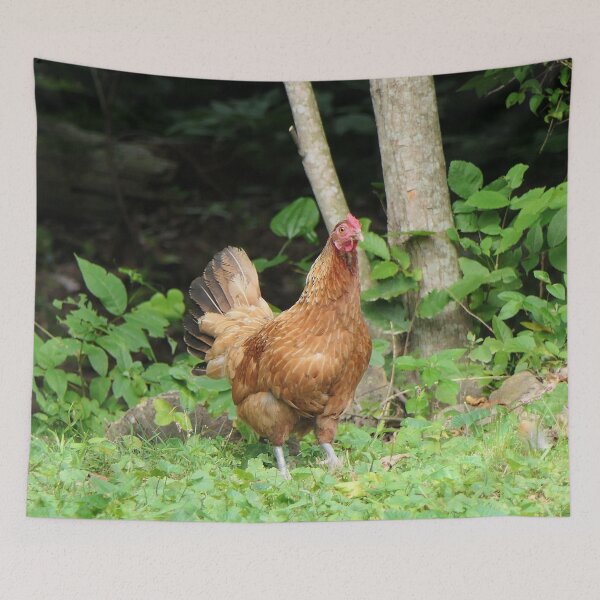 Item preview, Henrietta the Hen designed and sold by Frankie Cat Photography.