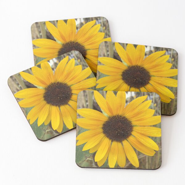 Item preview, Sunflower  designed and sold by Amanda1775.