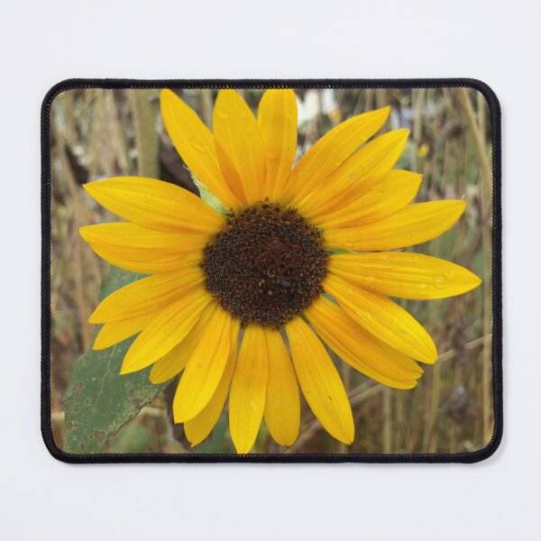 Item preview, Sunflower  designed and sold by Amanda1775.