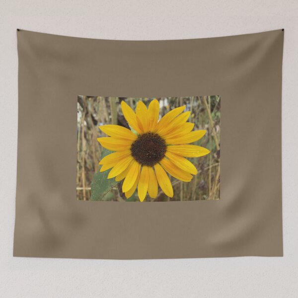 Item preview, Sunflower  designed and sold by Amanda1775.