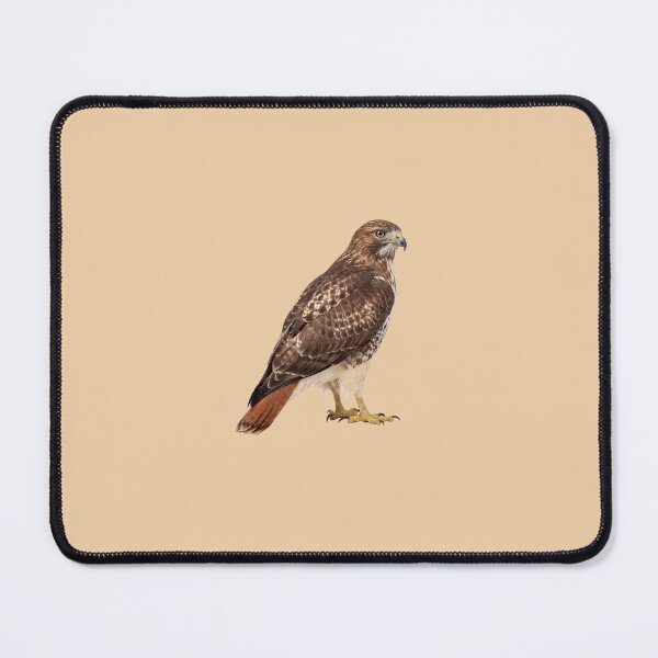 Item preview, Red-Tailed Hawk Standing designed and sold by ArunDandiboina.