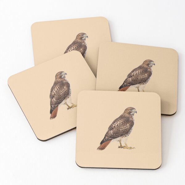 Item preview, Red-Tailed Hawk Standing designed and sold by ArunDandiboina.