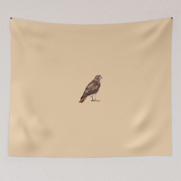 Item preview, Red-Tailed Hawk Standing designed and sold by ArunDandiboina.