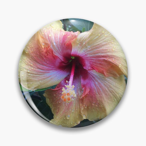 Item preview, Heart-Shaped Hibiscus  designed and sold by GardenGrove75.
