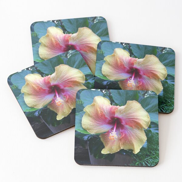 Item preview, Heart-Shaped Hibiscus  designed and sold by GardenGrove75.
