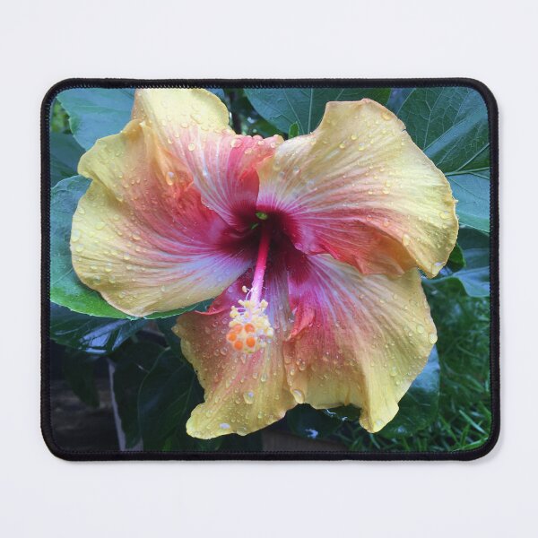 Item preview, Heart-Shaped Hibiscus  designed and sold by GardenGrove75.