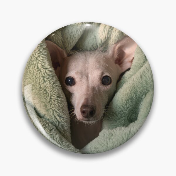 Item preview, Chinese Crested in Blanket 01 designed and sold by Elisabeth Lucas.