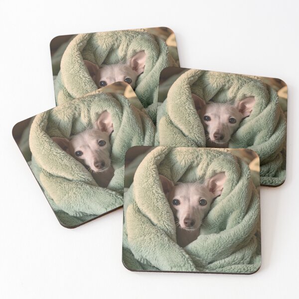 Item preview, Chinese Crested in Blanket 01 designed and sold by Elisabeth Lucas.