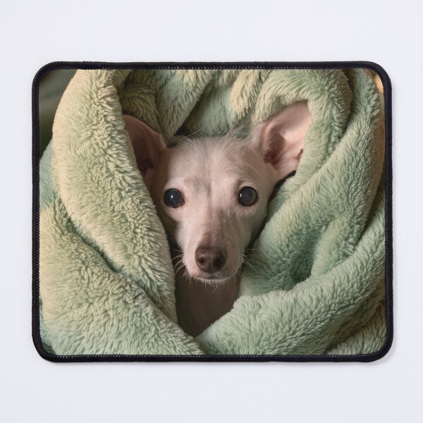Item preview, Chinese Crested in Blanket 01 designed and sold by Elisabeth Lucas.