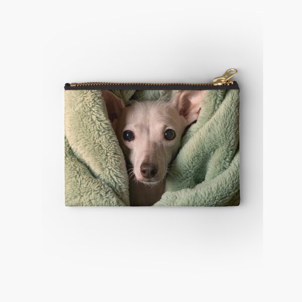 Item preview, Chinese Crested in Blanket 01 designed and sold by Elisabeth Lucas.