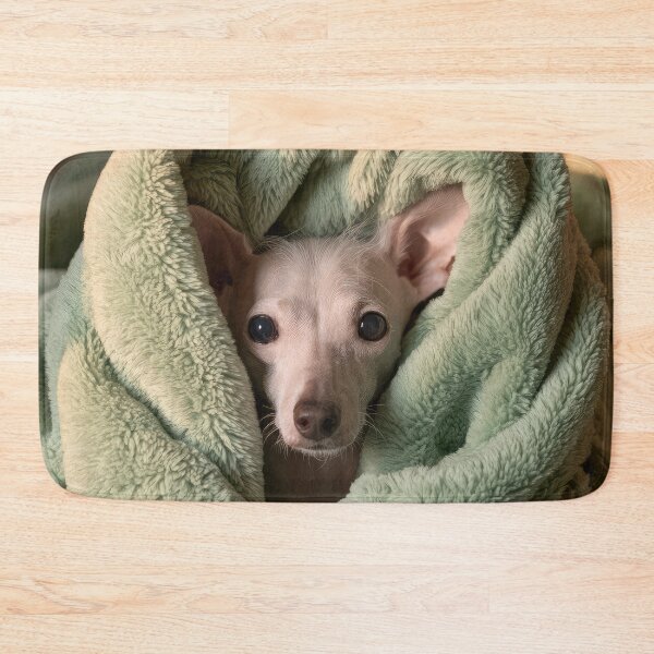 Item preview, Chinese Crested in Blanket 01 designed and sold by Elisabeth Lucas.
