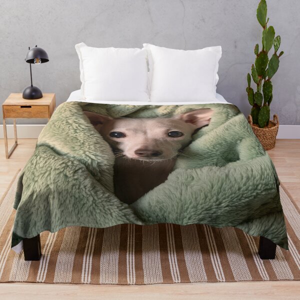 Item preview, Chinese Crested in Blanket 01 designed and sold by Elisabeth Lucas.