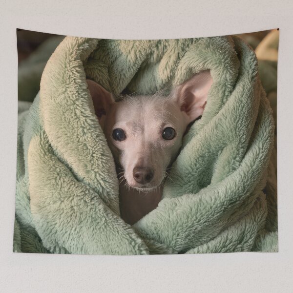 Item preview, Chinese Crested in Blanket 01 designed and sold by Elisabeth Lucas.