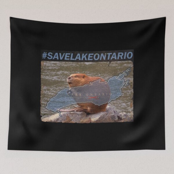 Artikelvorschau, Rettet den Ontariosee! entworfen und verkauft von KrushnaChandra.