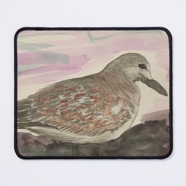 Item preview, Nesting Bird designed and sold by BirdandaBrush.