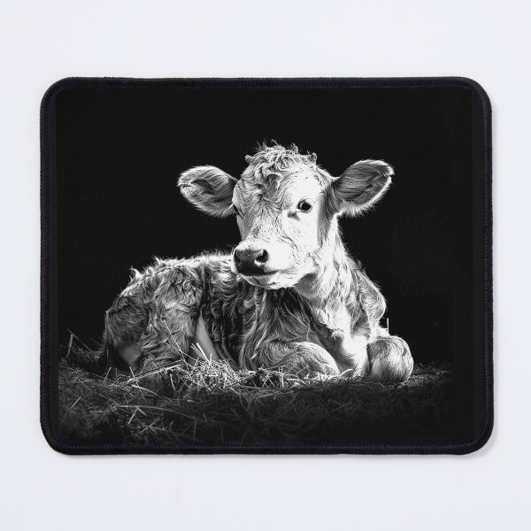 Item preview, Baby Calf Portrait Cute Farm Animal Black and White Art designed and sold by inkoutninja.