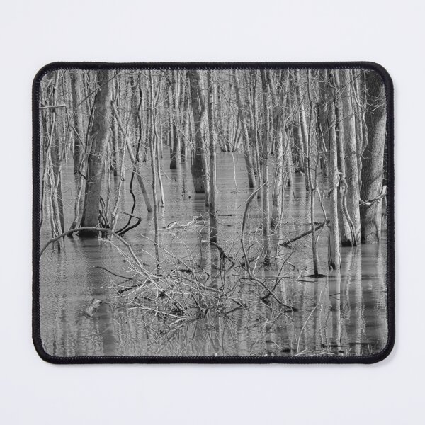 Item preview, Cahokia Marsh designed and sold by alipascal.