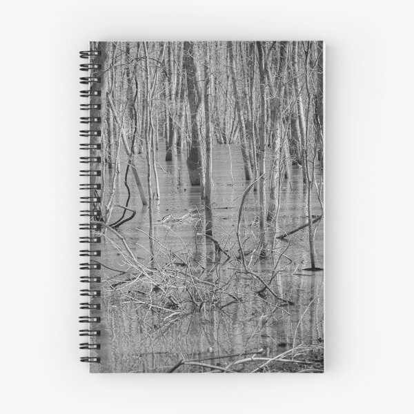 Item preview, Cahokia Marsh designed and sold by alipascal.