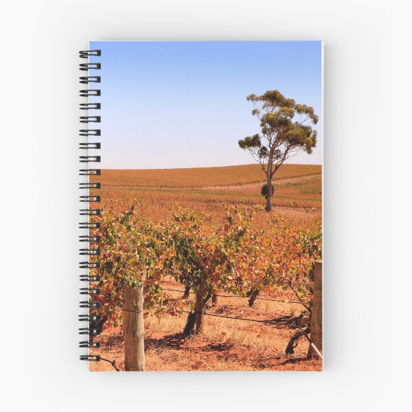 Item preview, Autumn sunlight among the vines designed and sold by jwwallace.