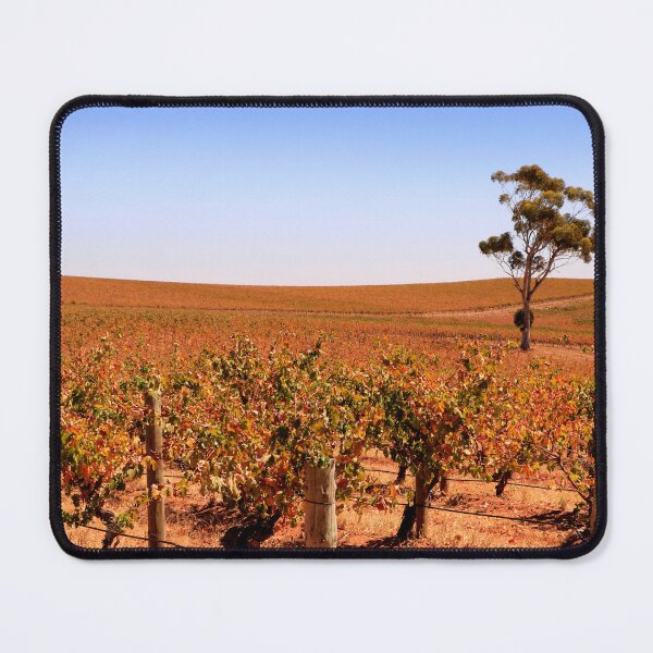 Item preview, Autumn sunlight among the vines designed and sold by jwwallace.