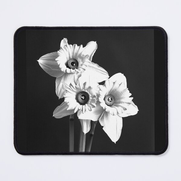 Item preview, Daffodil Flowers Elegant Botanical Spring Black and White Art designed and sold by inkoutninja.