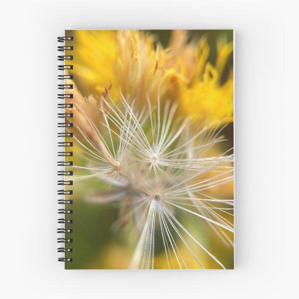 Item preview, Macro flower designed and sold by Courtney Croxall.
