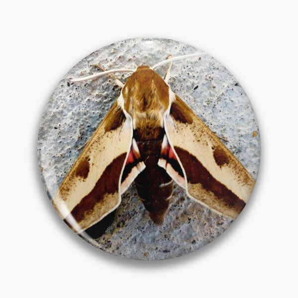 Item preview, Moth designed and sold by Courtney Croxall.