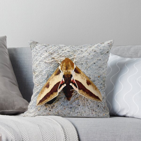 Item preview, Moth designed and sold by Courtney Croxall.