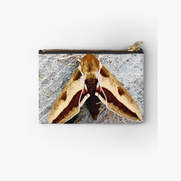 Item preview, Moth designed and sold by Courtney Croxall.