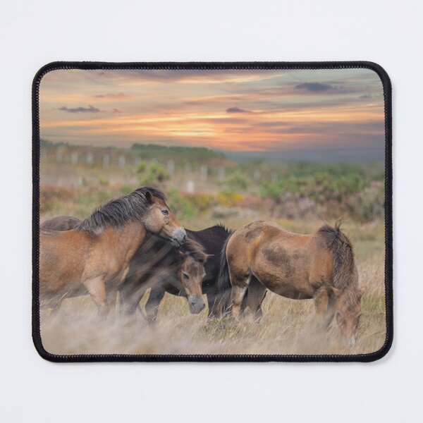 Item preview, Moorland Pony Grazing in Cornwall designed and sold by kathleenjean.