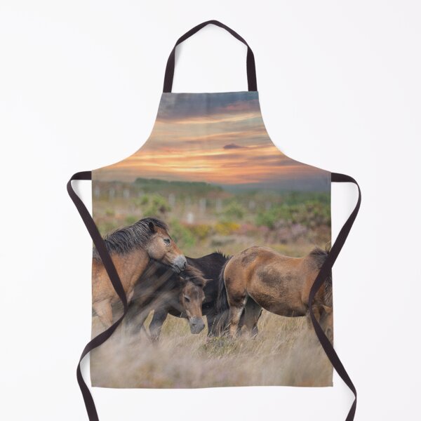 Item preview, Moorland Pony Grazing in Cornwall designed and sold by kathleenjean.