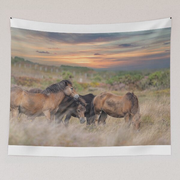 Item preview, Moorland Pony Grazing in Cornwall designed and sold by kathleenjean.