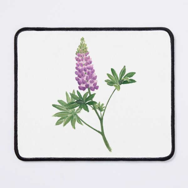 Item preview, November 2nd birthday flower Lupinus designed and sold by 366birthflower.