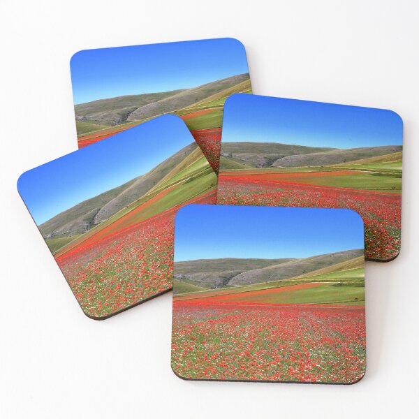 Item preview, Castelluccio flowering 2026 designed and sold by annalisa56.
