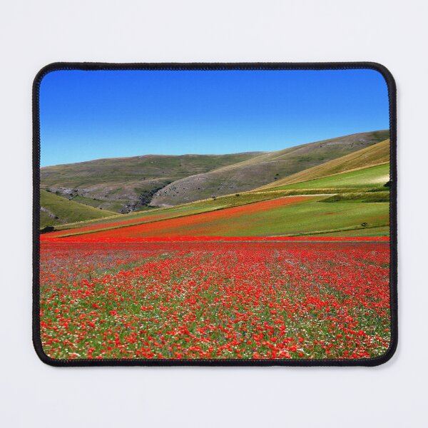 Item preview, Castelluccio flowering 2026 designed and sold by annalisa56.