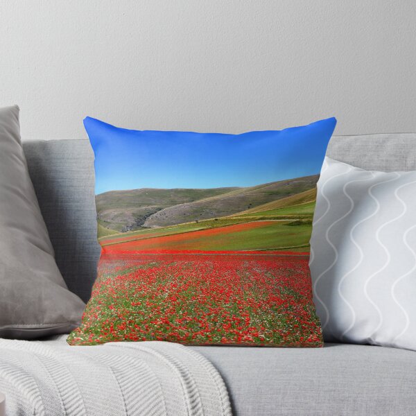 Aperçu de l'œuvre Castelluccio en floraison en 2026 créée et vendue par annalisa56.
