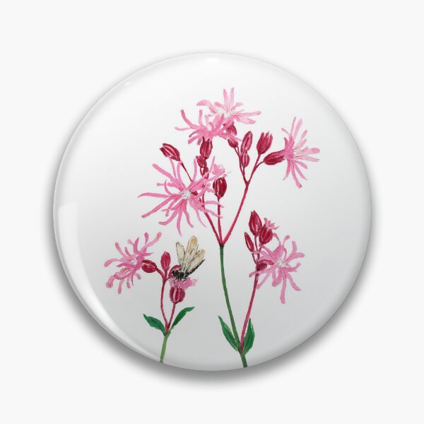 Item preview, November 8th birthday flower Ragged Robin designed and sold by 366birthflower.