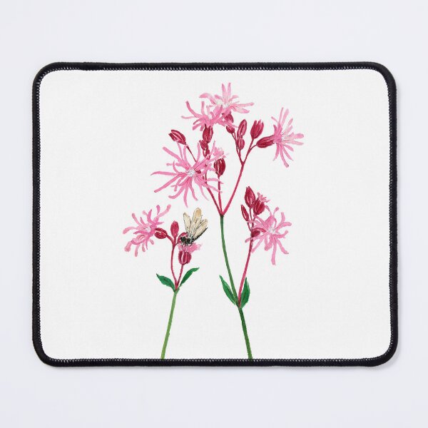 Item preview, November 8th birthday flower Ragged Robin designed and sold by 366birthflower.