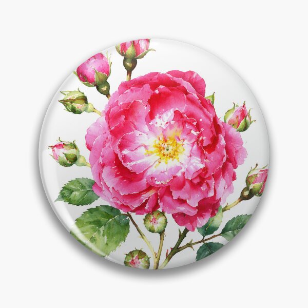 Item preview, Vibrant Pink Rose With Buds Watercolor Botanical Art designed and sold by Shew Gallery.